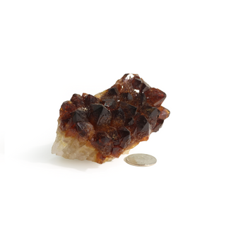 Citrine Cluster #1 - 1" to 2"    from Stonebridge Imports