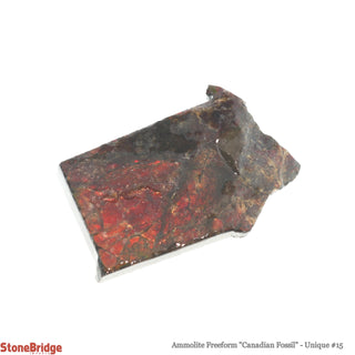 Ammolite Freeform Canadian Fossil U#15    from Stonebridge Imports