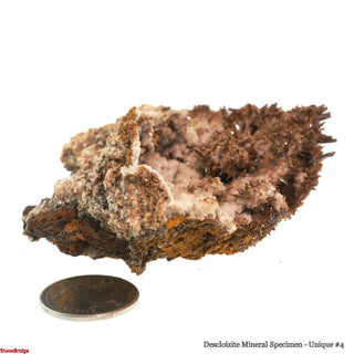 Descloizite Mineral Specimen U#4 - 3"    from Stonebridge Imports