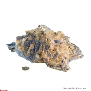 Blue Kyanite B Cluster #10    from Stonebridge Imports