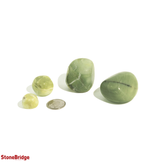 Serpentine Tumbled Stones - India    from Stonebridge Imports