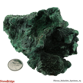 Fibrous Malachite Crystal #5 - 200g to 300g    from Stonebridge Imports
