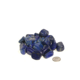 Lapis Lazuli A Tumbled Stones Small   from Stonebridge Imports