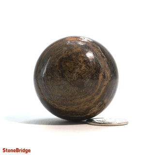 Bronzite Sphere - Extra Small #1 - 1 1/2"    from Stonebridge Imports
