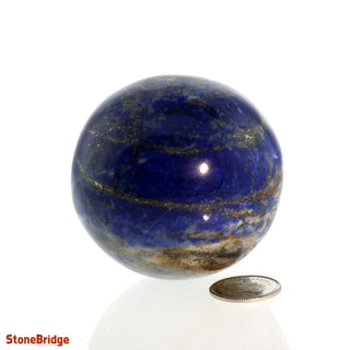 Lapis Lazuli A Sphere - Small #1 - 2 1/4"    from Stonebridge Imports