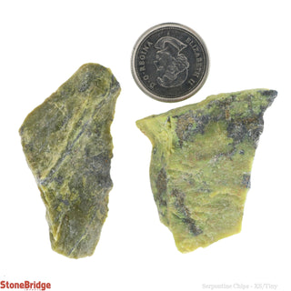 Serpentine Chips - Assorted    from Stonebridge Imports