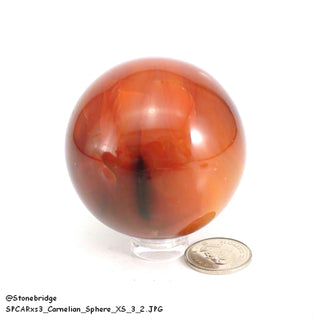 Carnelian Sphere - Extra Small #3 - 2"    from Stonebridge Imports
