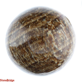 Aragonite Brown Sphere - Extra Small #4 - 2"    from Stonebridge Imports