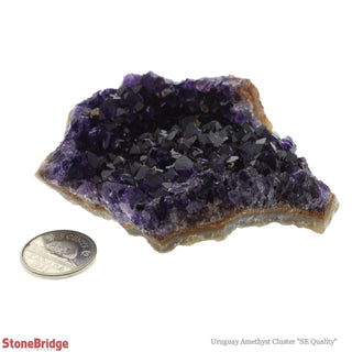 Amethyst Uruguay Cluster E #1L 100g to 199g    from Stonebridge Imports