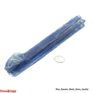 Blue Kyanite E Cluster #5 - 200g to 399g    from Stonebridge Imports