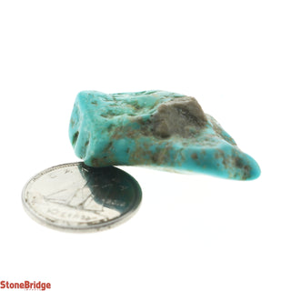 Turquoise Blue/ Green Tumbled #1    from Stonebridge Imports