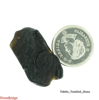 Tektite Tumble Stone #2 - Single Piece    from Stonebridge Imports