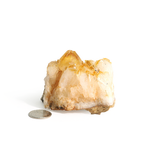 Citrine Cluster #1 - 1" to 2"    from Stonebridge Imports