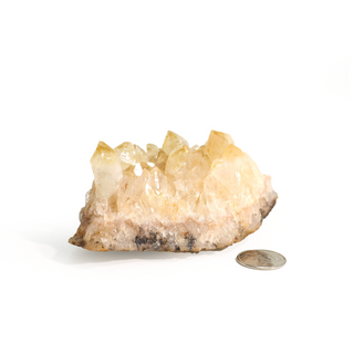 Citrine Cluster #1 - 1" to 2"    from Stonebridge Imports