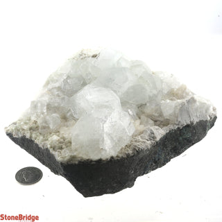 Zeolite on Basalt Cluster - APOPHYLLITE & HEULANDITE U#54    from Stonebridge Imports
