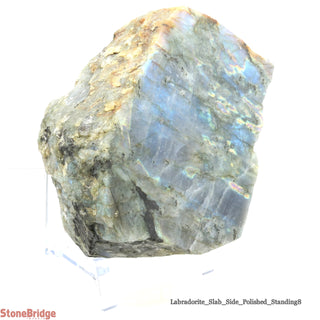 Labradorite Standing Slice Polished U#8 - 6"    from Stonebridge Imports