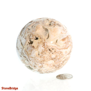 Caribbean Blue Calcite Sphere - Small #3 - 2 1/4"    from Stonebridge Imports