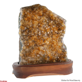 Citrine Cluster on Wood Base #5 - 9" (Enhanced) from Stonebridge Imports