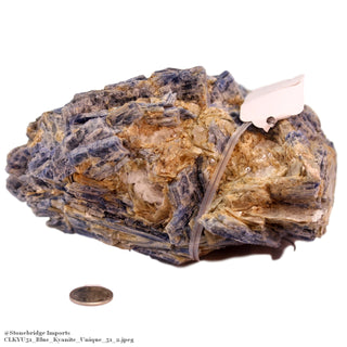 Blue Kyanite Cluster U#51    from Stonebridge Imports