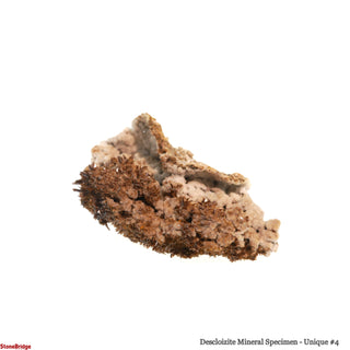 Descloizite Mineral Specimen U#4 - 3"    from Stonebridge Imports