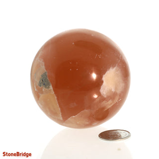 Calcite Honey Sphere - Small #2 - 2 1/4"    from Stonebridge Imports