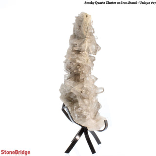 Smoky Quartz Cluster on Iron Stand U#17    from Stonebridge Imports