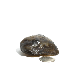 Enhydro Agate Geodes - 2 1/2"    from Stonebridge Imports