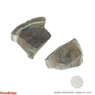 Rainbow Pyrite Geode U#7    from Stonebridge Imports