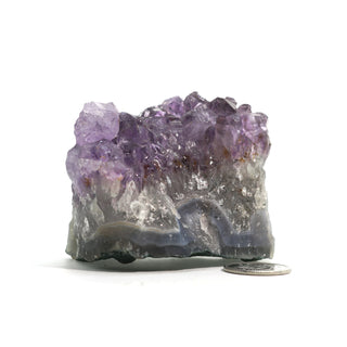 Amethyst Clusters #1 - 1" to 3"    from Stonebridge Imports