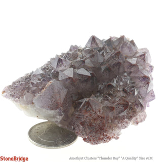 Amethyst Cluster Thunder Bay A #1M 50g to 99g    from Stonebridge Imports