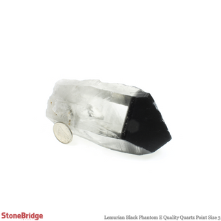 Lemurian Black Phantom Point #3    from Stonebridge Imports