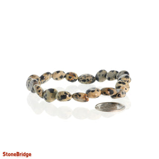 Dalmatian Jasper Tumbled Bracelets    from Stonebridge Imports