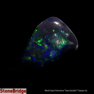 Black Opal Cabochon Gem Quality U#5 - 2ct    from Stonebridge Imports