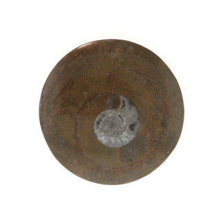 Ammonite Polished Button #1    from Stonebridge Imports