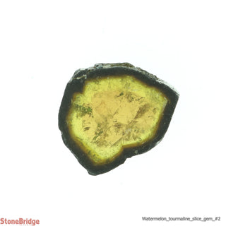 Watermelon Tourmaline Slice Gemgrade - #2 - 6 to 9ct    from Stonebridge Imports