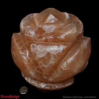 Himalayan Salt Lamp - Design/ Lotus Flower    from Stonebridge Imports