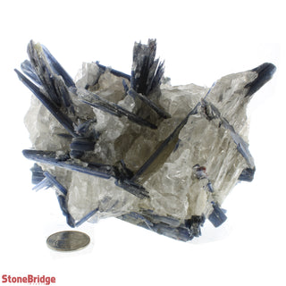 Blue Kyanite E Cluster #8    from Stonebridge Imports