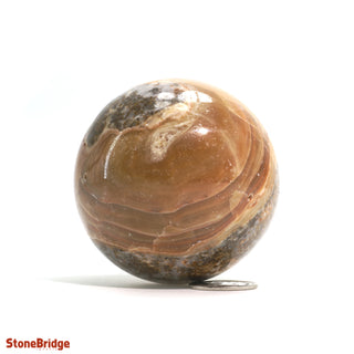 Calcite Golden Sphere - Small #1 - 2 1/4"    from Stonebridge Imports