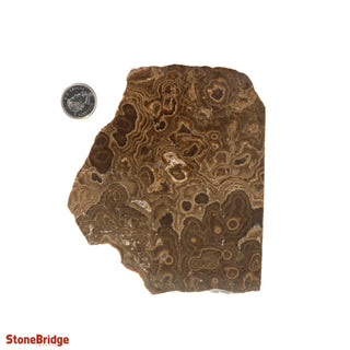 Calcite Chocolate Slice #4    from Stonebridge Imports