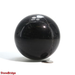 Smoky Quartz Dark Sphere - Medium #3 - 2 3/4"    from Stonebridge Imports