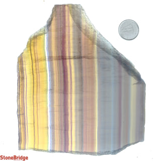 Fluorite Yellow Slice #1    from Stonebridge Imports
