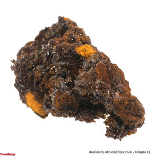 Descloizite Mineral Specimen U#3 - 3 3/4"    from Stonebridge Imports