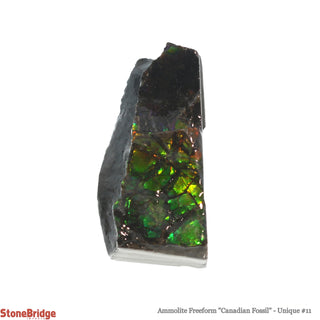 Ammolite Freeform Canadian Fossil U#11    from Stonebridge Imports