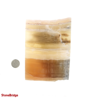 Calcite Honey Slices #4    from Stonebridge Imports