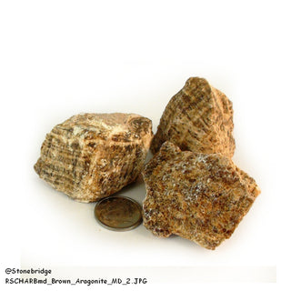 Aragonite Brown Chips - Medium    from Stonebridge Imports