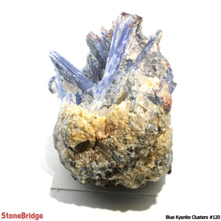 Blue Kyanite Cluster U#120    from Stonebridge Imports