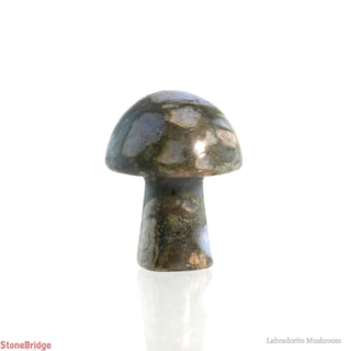 Labradorite Mushroom    from Stonebridge Imports