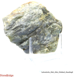 Labradorite Standing Slice Polished U#8 - 6"    from Stonebridge Imports