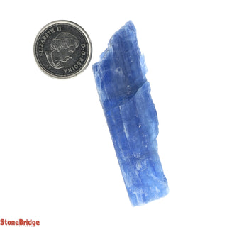 Kyanite Blue E Blades Medium    from Stonebridge Imports