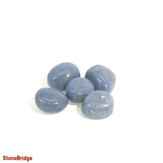 Angelite Tumbled Stones X-Large   from Stonebridge Imports